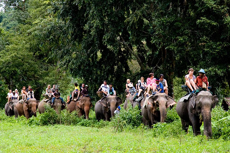 Elephant-Trekking--Kanchanaburi-Tailandia