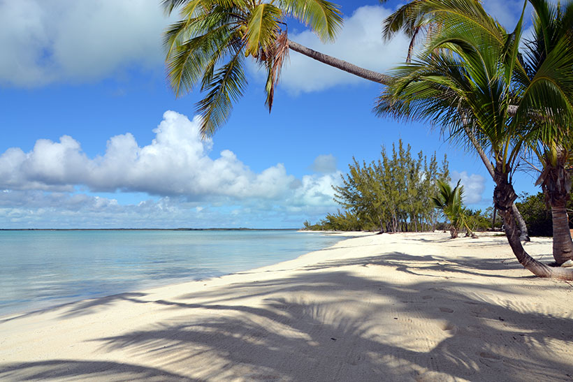 Tiamo-Resort-South-Andros-bahamas