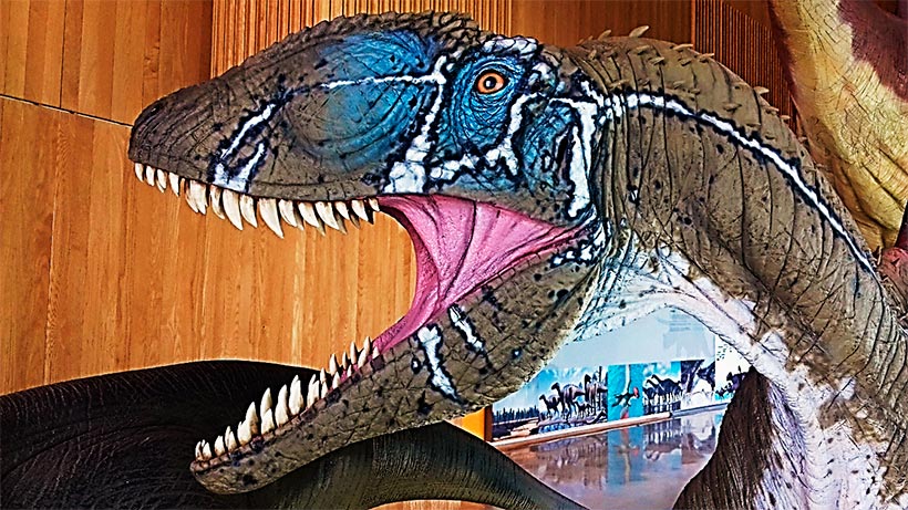 cuenca-museo-paleontologia-reproduccion