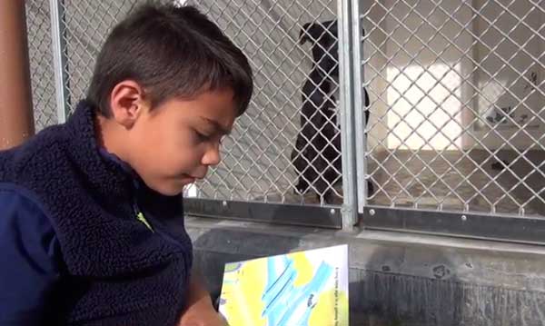 El pequeño con autismo que pasa sus jueves leyendo a perros sin hogar