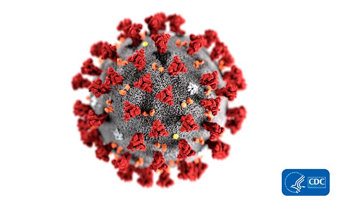 descripcioncoronavirus1