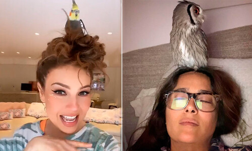 Thalía, Salma Hayek y la nueva tendencia en peinados... ¿con aves?