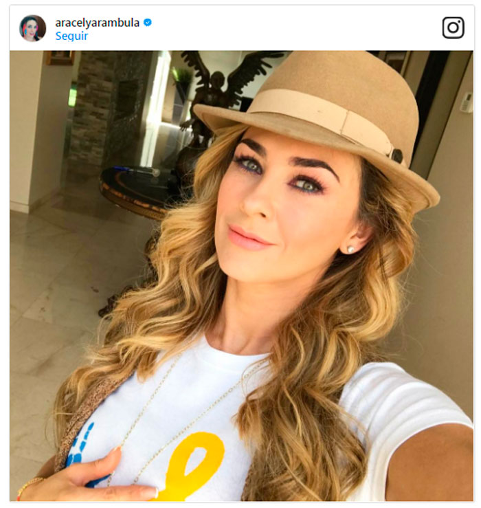 El emotivo detalle de los hijos de Aracely Arámbula a su ...