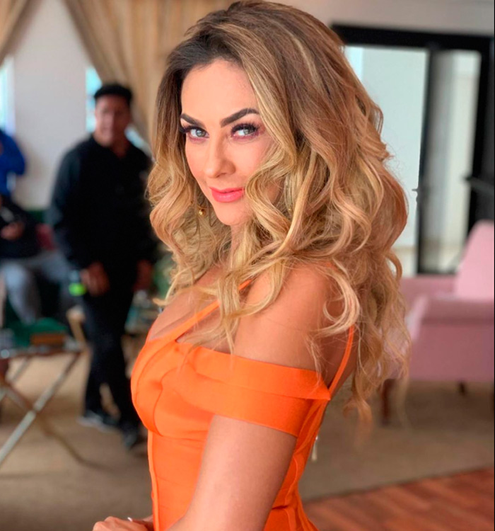 Aracely Arámbula