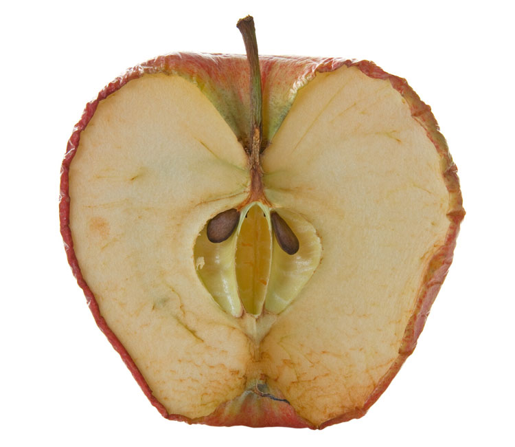 manzana-age