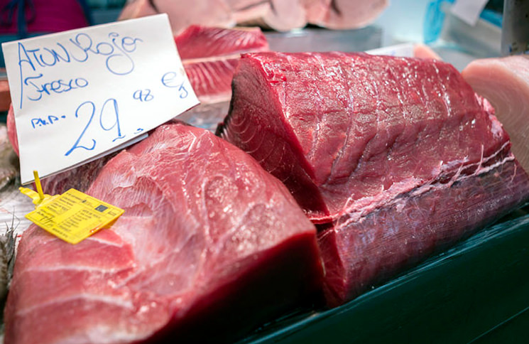 Consejos, trucos y recetas para cocinar atún rojo