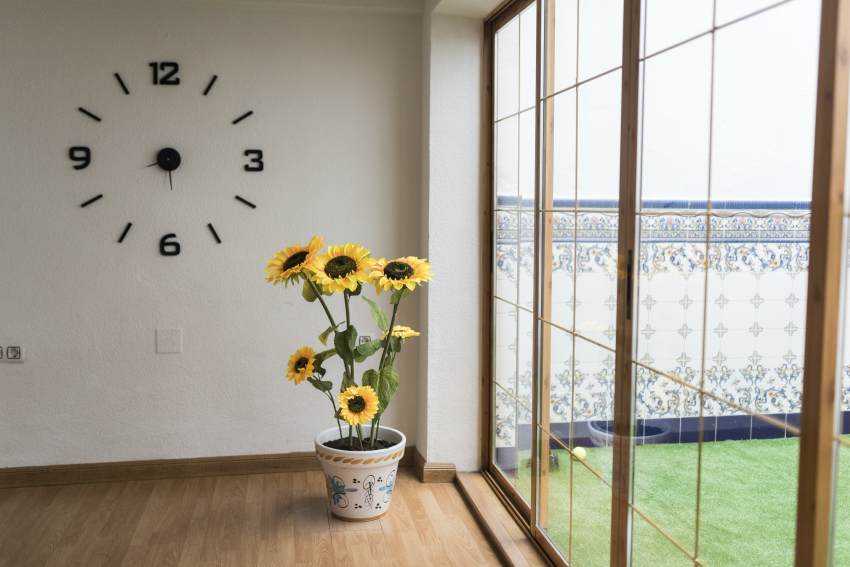 Girasoles, las plantas más alegres para decorar tu casa - Foto 1