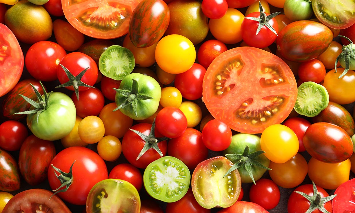 Estos 6 tipos de tomates demuestran que no todos son iguales
