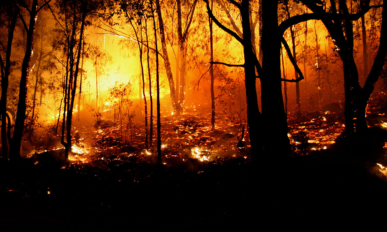 Cambio climático Las devastadoras consecuencias de los