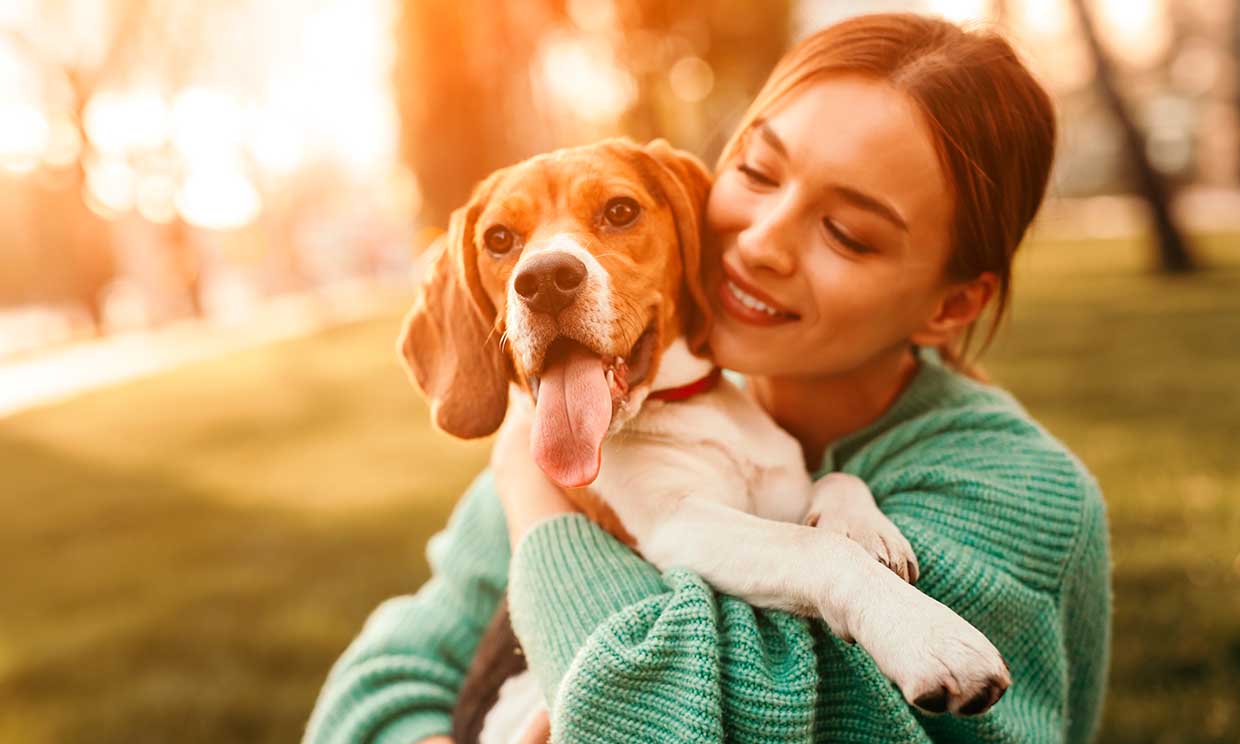 Mascotas Conoce Cuáles Son Las Etapas Más Importantes De La Vida De Tu Perro 6515