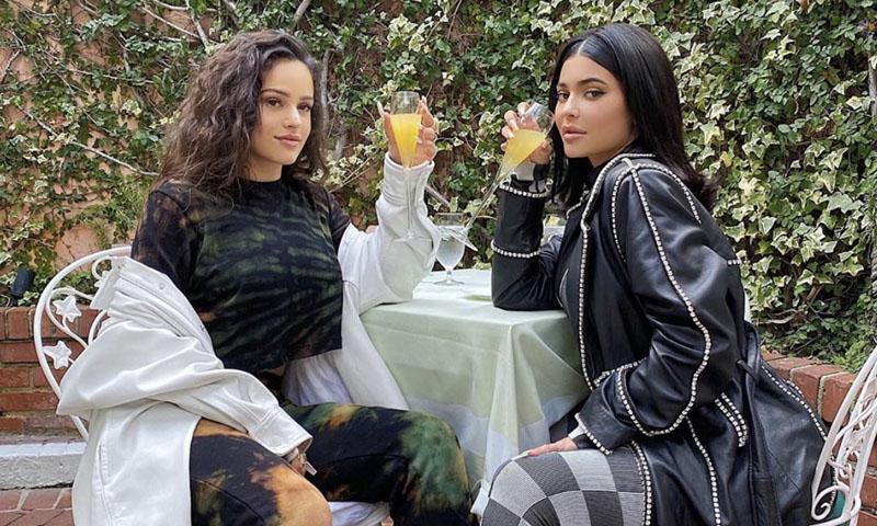 Kylie Jenner no longer follows Rosalía, Sofia Richie and many others on Instagram