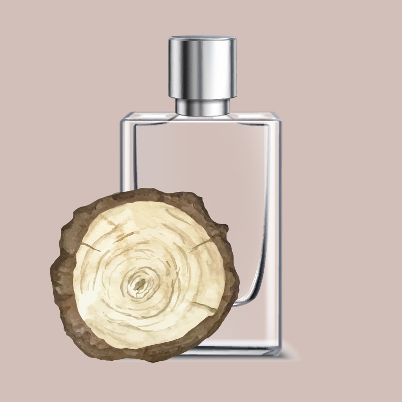 Perfumes amaderados