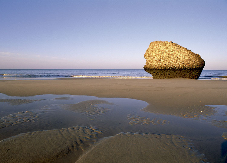 Playa de Matalascañas Huelva