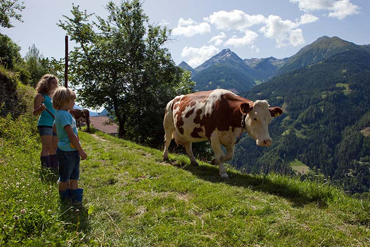 Austria-Tirol-familias