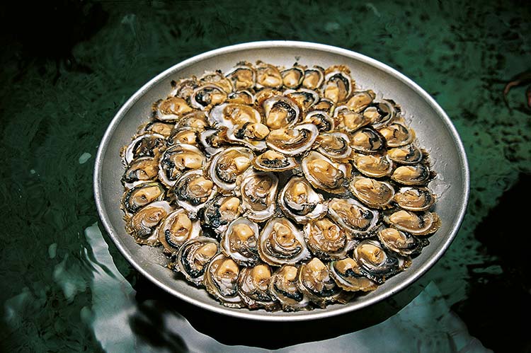 Croacia-gastronomia-ostras