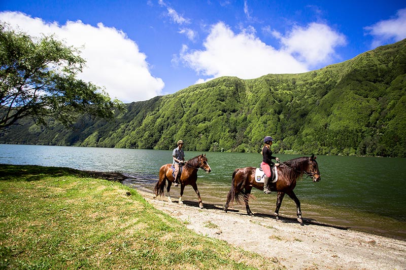 Azores-caballos