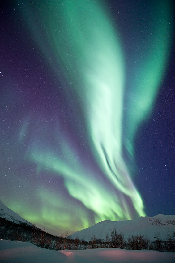 Lofoten-auroras-boreales-noruega--visitnorway