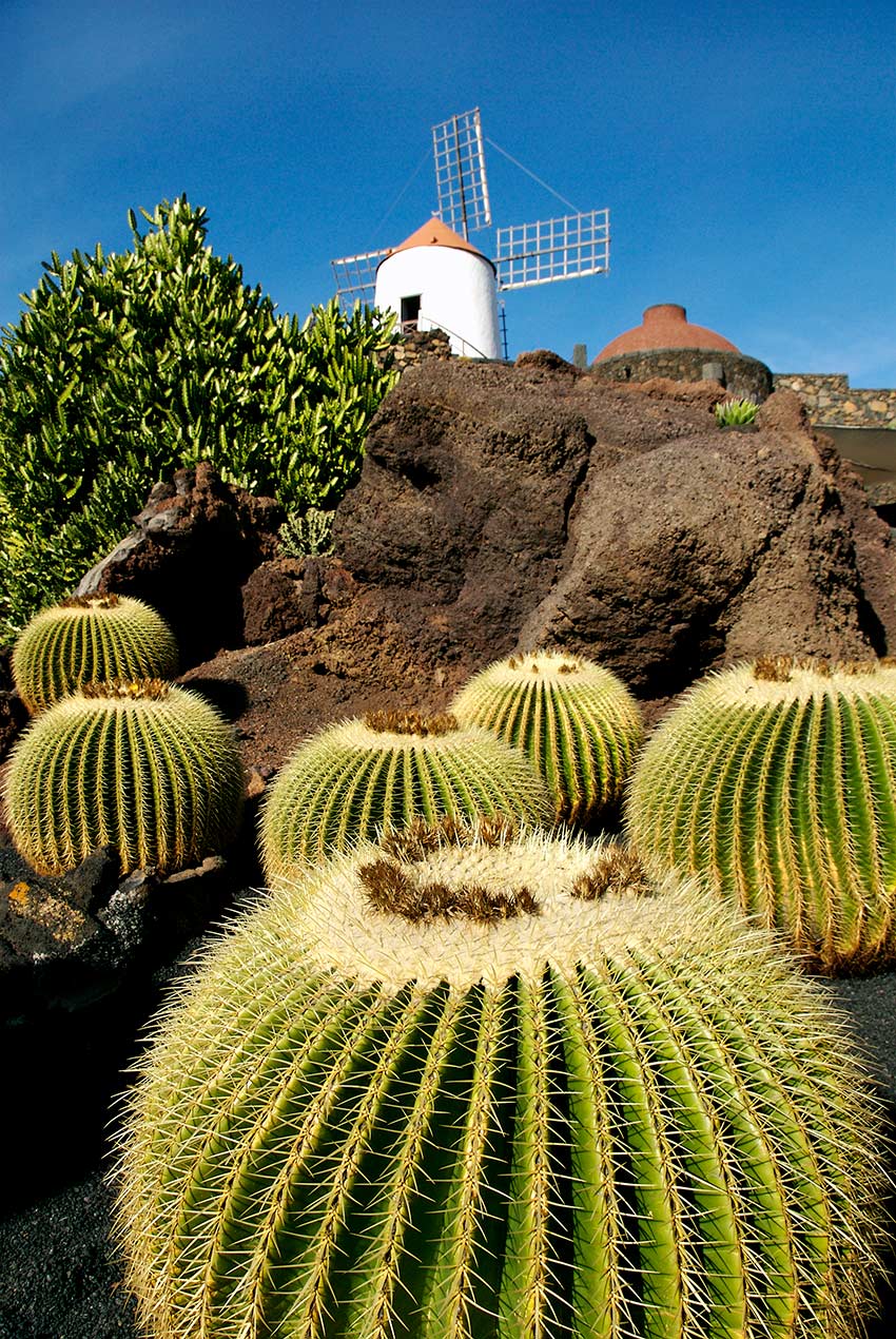 Lanzarote según César Manrique, para una ruta en coche 